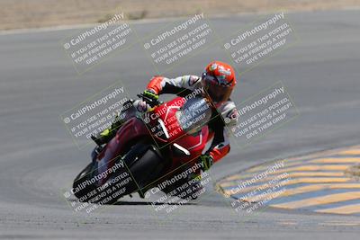 media/Apr-09-2023-SoCal Trackdays (Sun) [[333f347954]]/Turn 10 (115pm)/